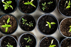 Culture is the strategy – well-being as a barometer